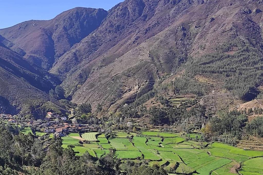 فيلا Covas do Monteفي Casa Do Avo Ze المظهر الخارجي الصورة